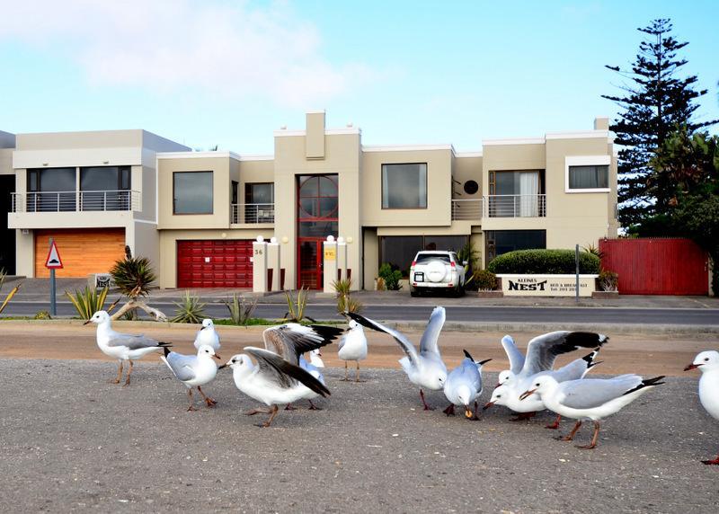 ولفس بي Kleines Nest Bed And Breakfast المظهر الخارجي الصورة