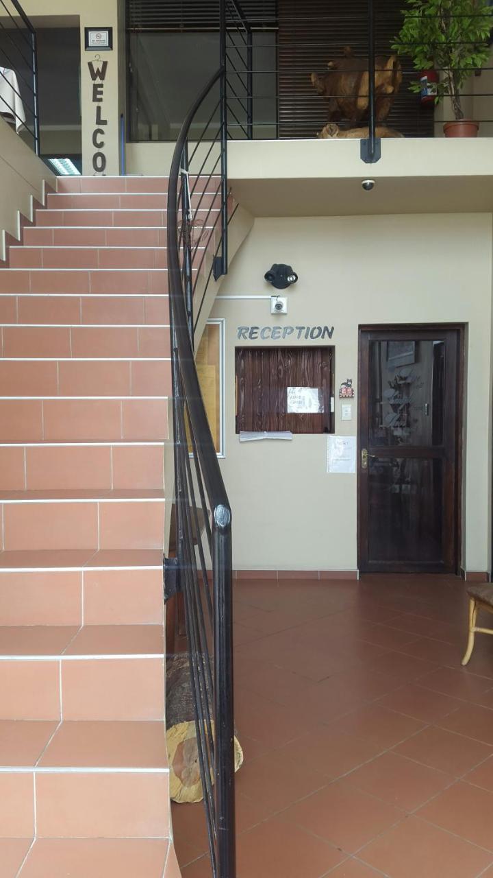 ولفس بي Kleines Nest Bed And Breakfast المظهر الخارجي الصورة